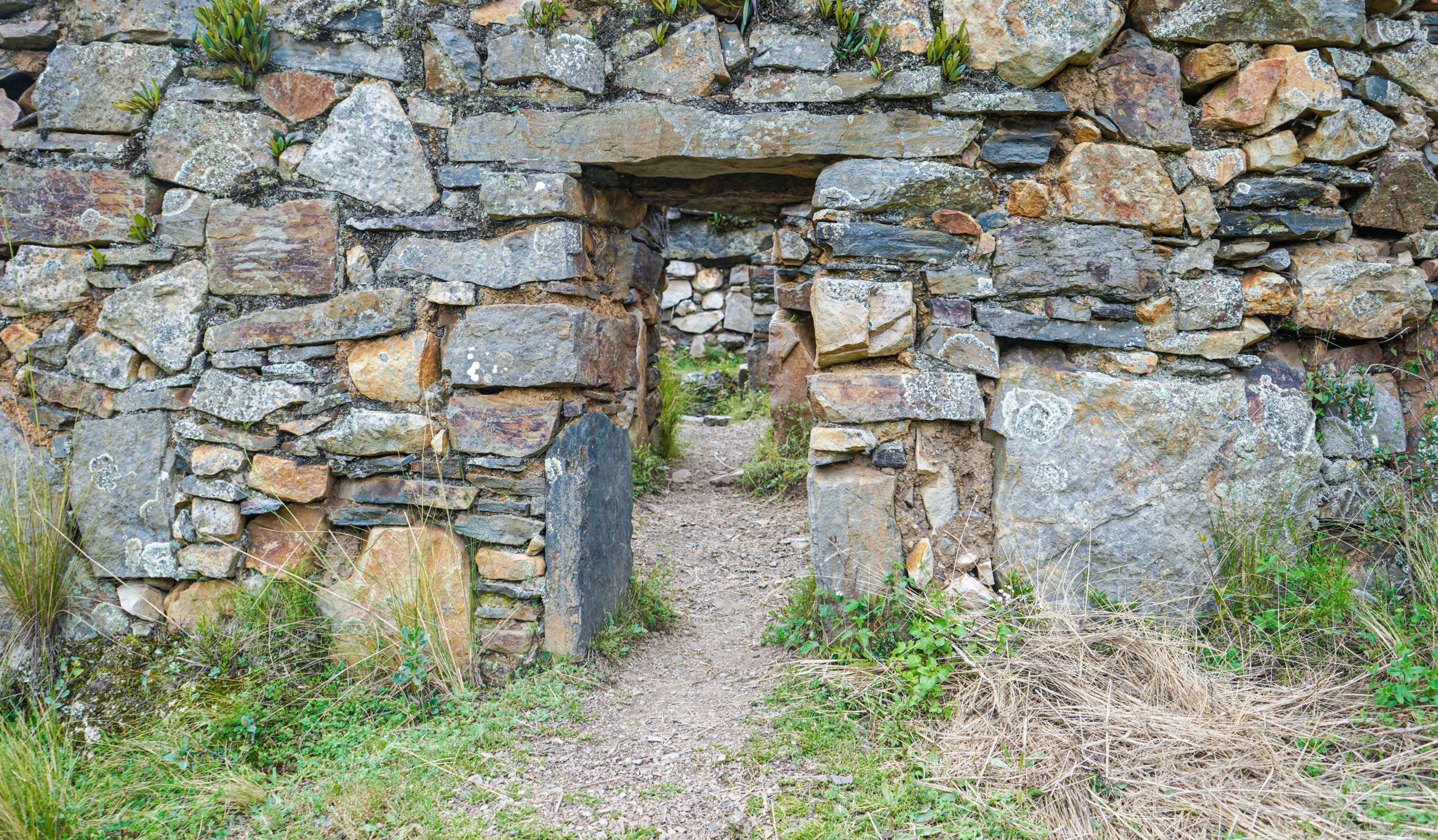 ENTRADA A LLAMA CORRAL
