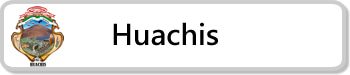 huachis-min-1.jpg