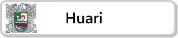 huari-min-1.jpg